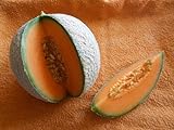 Melone Charentais 5 Samen -Neue Züchtung aus Cantaloupe/Zuckermelone Sehr sehr Süß foto / 1,98 €