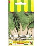 Sachet de graines de Chou de Chine Canton nain Pak Choi - 3 g - LES GRAINES BOCQUET photo / 3,99 € (1 330,00 € / kg)