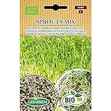 Germisem Orgánica Sprouts Mix Semillas 20 g (ECBIO1900) foto / 3,99 €