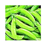 Park Seed Super Sugar Snap Pea Seeds, Delicious and High Yield, Pack of 160 Seeds photo / $8.95 ($0.06 / Count)