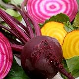Beets - Gourmet Mix of Beet Seeds ► Non-GMO Red & Yellow Beet Seeds (100+ Seeds) ◄ by PowerGrow Systems photo / $1.99