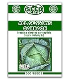 All Seasons Cabbage Seeds - 250 SEEDS photo / $1.59