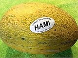 35 PCS Hami Ha Mi Melon Seeds E60, Honey Melon Super Sweet photo / $14.50