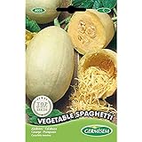 Germisem Vegetable Spaghetti Semillas de Calabacín 3.5 g (EC4021) foto / 2,21 €