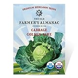 The Old Farmer's Almanac Heirloom Cabbage Seeds (Golden Acre) - Approx 950 Seeds photo / $4.29 ($0.00 / Count)