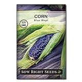 Sow Right Seeds - Blue Hopi Corn Seed for Planting - Non-GMO Heirloom Packet with Instructions to Plant and Grow an Outdoor Home Vegetable Garden - Great for Blue Corn Flour - Wonderful Gardening Gift photo / $4.99