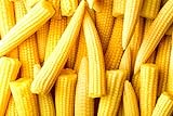 Japanese Baby Corn Seeds for Planting - 20 Seeds - Great on Salads or as Garnish photo / $8.98 ($0.45 / Count)