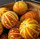 20 Rare Tigger Melon Seeds | Exotic Garden Fruit Seeds to Plant | Sweet Exotic Melons, Grow and Eat photo / $8.98 ($0.45 / Count)