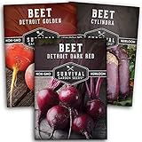 Survival Garden Seeds Beet Collection Seed Vault - Detroit Red, Detroit Golden, Cylindra Beets - Delicious Root & Green Leafy Veggies - Non-GMO Heirloom Survival Garden Vegetable Seeds for Planting photo / $8.99