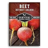 Survival Garden Seeds - Detroit Golden Beet Seed for Planting - Packet with Instructions to Plant and Grow Sweet Yellow Root Vegetables in Your Home Vegetable Garden - Non-GMO Heirloom Variety photo / $4.99