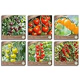 Samenliebe BIO Cherrytomaten Samen Set mit 6 samenfesten Gemüsesamen Sorten für Gewächshaus Freiland und Balkon Tomaten BIO Gemüse Saatgut foto / 15,99 € (2,66 € / stück)
