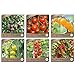 foto Samenliebe BIO Cherrytomaten Samen Set mit 6 samenfesten Gemüsesamen Sorten für Gewächshaus Freiland und Balkon Tomaten BIO Gemüse Saatgut