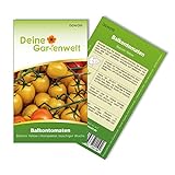 Balkontomaten Balconi yellow Samen - Solanum lycopersicum - Balkontomatensamen - Gemüsesamen - Saatgut für 20 Pflanzen foto / 1,99 € (0,10 € / stück)