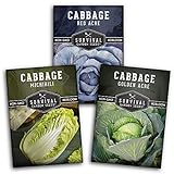 Cabbage Collection Seed Vault - Non-GMO Heirloom Survival Garden Seeds for Planting - Red Acre, Golden Acres, and Michihili (Napa) Cabbage Seed Packets to Grow Your Own Healthy Cruciferous Vegetables photo / $8.99