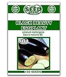 Black Beauty Eggplant Seeds - 150 Seeds Non-GMO photo / $1.59 ($0.01 / Count)