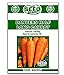 photo Danvers Half Long Carrot Seeds - 1000 Seeds Non-GMO