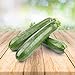 foto Zucchini 25 x Samen - Aus Portugal 100% Natürlich Ohne Chemische Anzuchthilfe Oder Gentechnik, Einfach Nur Natur Pur