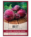 Beet Seeds for Planting Detroit Dark Red 100 Heirloom Non-GMO Beets Plant Seeds for Home Garden Vegetables Makes a Great Gift for Gardeners by Gardeners Basics photo / $5.95