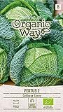 Organic Way | WIRSING VERTUS 2 samen | Gemüsesamen | Kohlsamen | Garten Samen | Mittelfrühsorte für die Sommer- bzw. Herbsternte | 1 Pack foto / 2,88 €