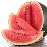 Black Diamond Watermelon Seeds, 50 Heirloom Seeds Per Packet, Non GMO Seeds photo / $6.25 ($0.12 / Count)