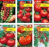 Frankonia-Samen / Tomatensamen-Sortiment / 6 Tomatensorten / Tomate Supersweet / Tomate Harzfeuer / Tomate Matina / Tomate Hellfrucht / Fleischtomate / Tomate Balkonzabuber foto / 6,95 €