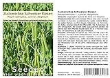 Seedeo® Zuckererbse Schweizer Riesen (Pisum sativum L. convar. Axiphium) ca. 50 Samen BIO foto / 2,95 €