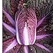 photo David's Garden Seeds Cabbage Merlot 9797 (Red) 50 Non-GMO, Hybrid Seeds