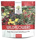 Deer Resistant Wildflower Seed Mixture - Bulk 1 Ounce Packet - Over 15,000 Deer Tolerant Seeds - Open Pollinated and Non GMO photo / $7.97