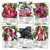 Seed Needs, Multicolor Radish Seed Packet Collection (6 Individual Packets) Non-GMO Seeds photo / $11.85