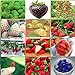 foto 12 paquetes diferentes semillas de fresa (verde, blanco, negro, rojo, azul, gigante, Mini, Bonsai, rojo normal, Pineberry) E3508