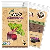Organic Beet Seeds, APPR. 225, Early Wonder Tall Top Beet, Heirloom Vegetable Seeds, Certified Organic, Non GMO, Non Hybrid, USA photo / $7.88