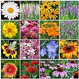 All Perennial Wildflower Seed Mix - 1/4 Pound, Mixed, Attracts Pollinators, Attracts Hummingbirds, Easy to Grow & Maintain photo / $14.25