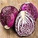 photo RattleFree Cabbage Seeds for Planting | Heirloom & Non-GMO | 500 Red Acre Cabbage Vegetable Seeds for Planting Home Gardens | Growing Instructions Included on Planting Packets
