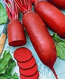Seeds4planting - Seeds Beet Rival Red Giant Heirloom Vegetable Non GMO photo / $6.94