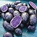 photo Simply Seed - Purple Majesty - Naturally Grown Seed Potatoes - 5 LB- Ready for Spring Planting