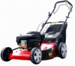 photo self-propelled lawn mower Dich DCM 1669A / description